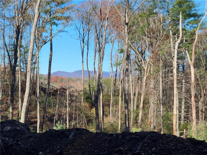 Image for property 1713 Old Northcutt Road, Ellijay, GA 30540