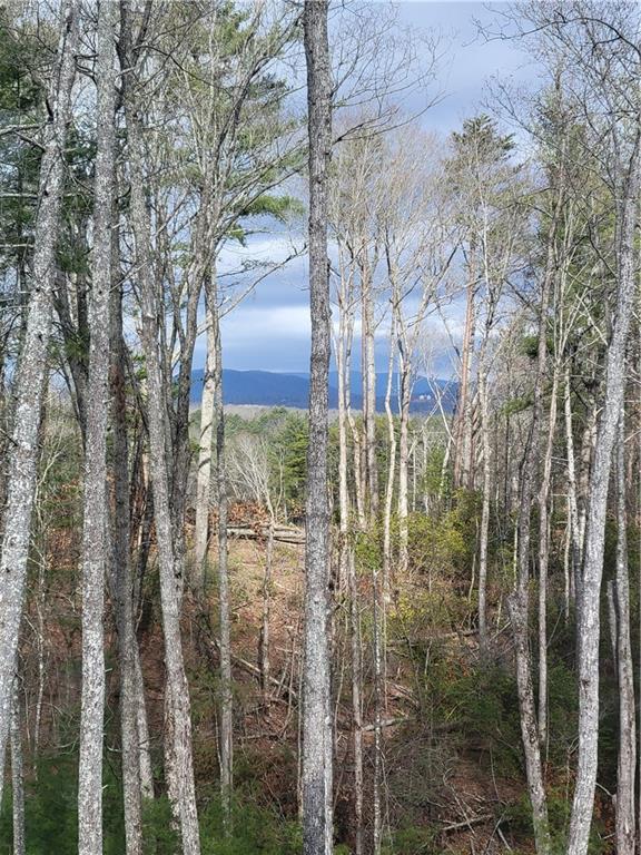 Image for property 1713 Old Northcutt Road, Ellijay, GA 30540