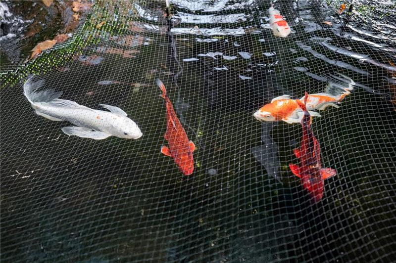 Image for property 130 26th Street 615, Atlanta, GA 30309