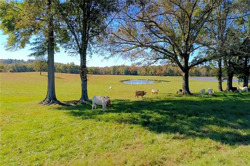Image for property 843 Bethesda Church Road, Carrollton, GA 30117