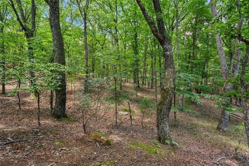 Image for property 161 RIDGEWOOD Drive, Waleska, GA 30183