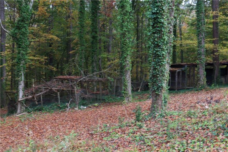 Image for property 618 Old Doss rd, Canton, GA 30115