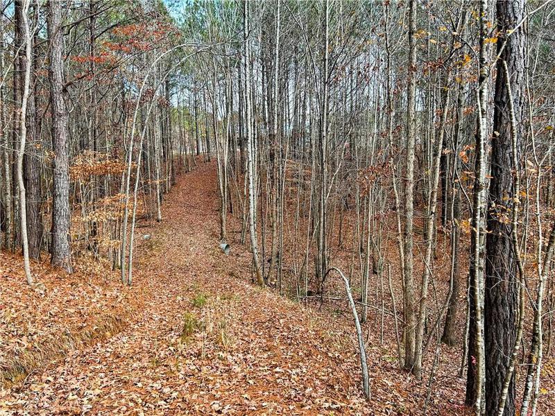 Image for property 1235 WILLIAMS Road, Dallas, GA 30132