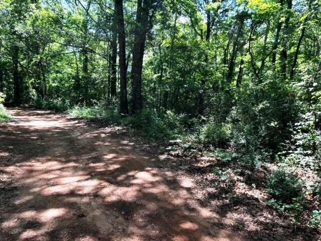 Image for property 464 Still Okelley Road, Danielsville, GA 30633