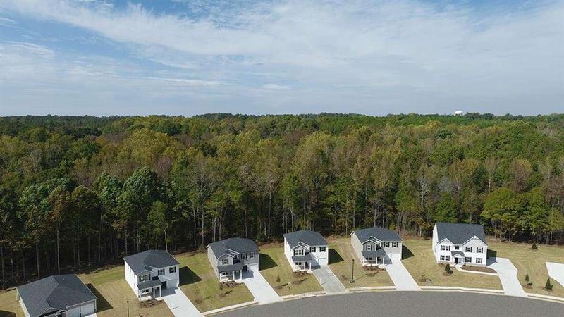 Image for property 130 Oakchase Park Lane, Hampton, GA 30228