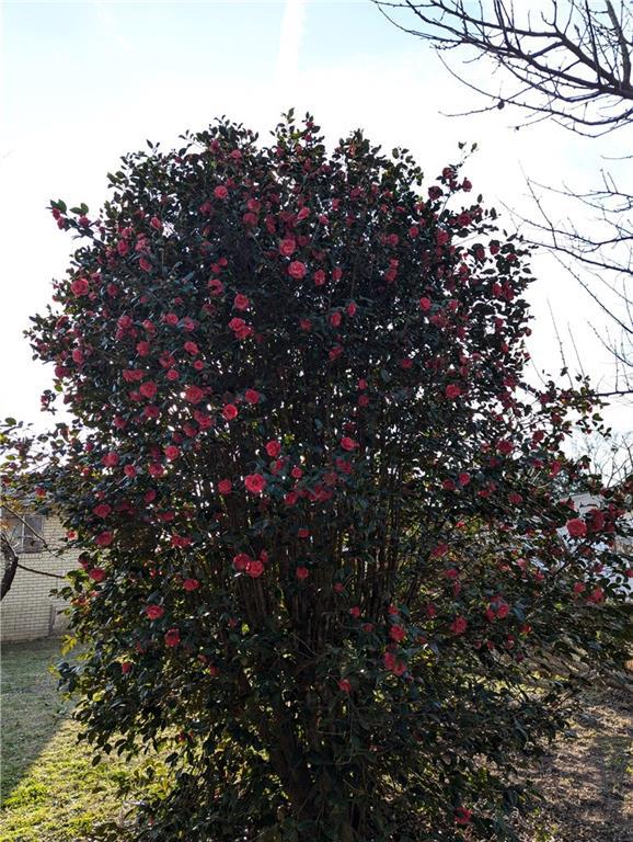 Image for property 155 Cone Drive, Athens, GA 30601