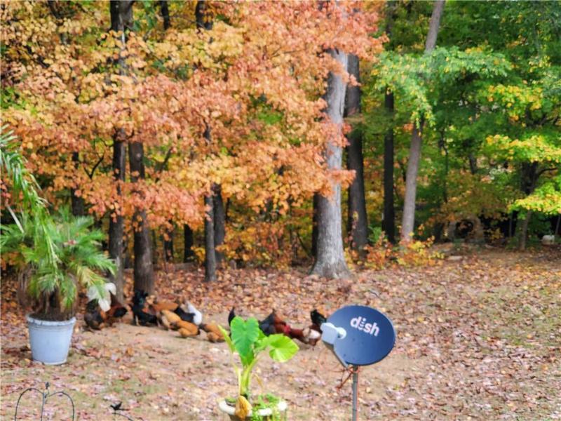 Image for property 111 Lewis Drive, Calhoun, GA 30701