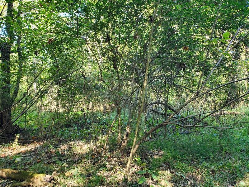 Image for property 111 Lewis Drive, Calhoun, GA 30701