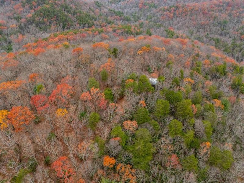 Image for property 198 Hollow Log Trail, Ellijay, GA 30536