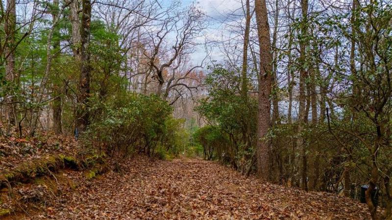Image for property 198 Hollow Log Trail, Ellijay, GA 30536