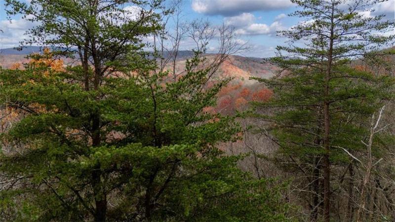 Image for property 198 Hollow Log Trail, Ellijay, GA 30536