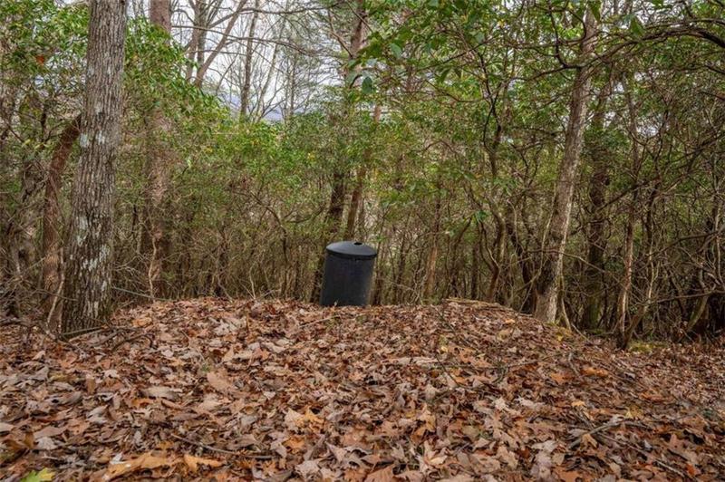 Image for property 198 Hollow Log Trail, Ellijay, GA 30536