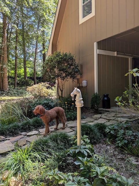 Image for property 805 Old Mill Court, Ball Ground, GA 30107