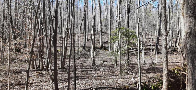 Image for property 11953 Henderson Mountain Road, Fairmount, GA 30139