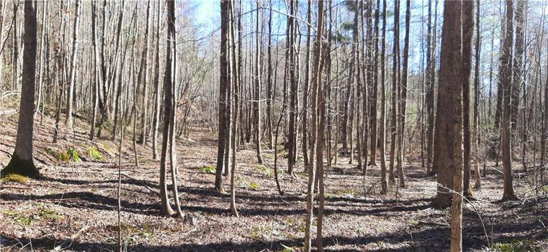 Image for property 11953 Henderson Mountain Road, Fairmount, GA 30139