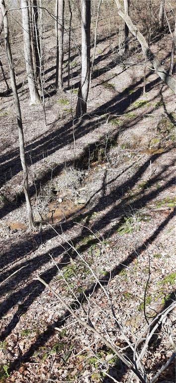 Image for property 11953 Henderson Mountain Road, Fairmount, GA 30139