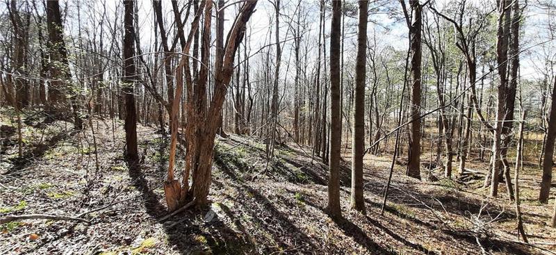 Image for property 11953 Henderson Mountain Road, Fairmount, GA 30139