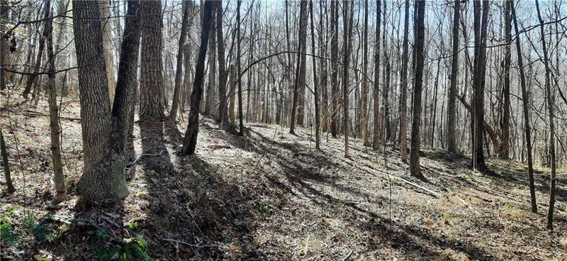 Image for property 11953 Henderson Mountain Road, Fairmount, GA 30139