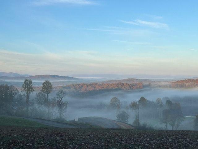 Image for property 95 Upper Ridge Trail, Morganton, GA 30560