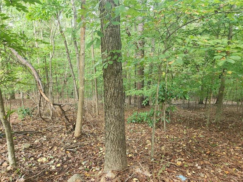 Image for property 2681 Buford Highway, Cumming, GA 30041