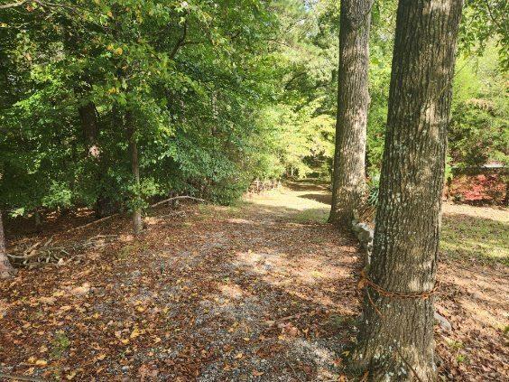 Image for property 2681 Buford Highway, Cumming, GA 30041