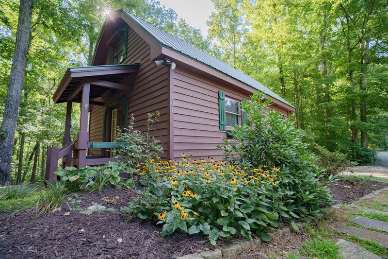 Image for property 701 Lake Forest Drive, Blue Ridge, GA 30513