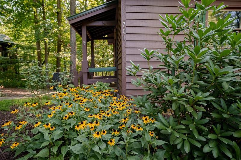 Image for property 701 Lake Forest Drive, Blue Ridge, GA 30513