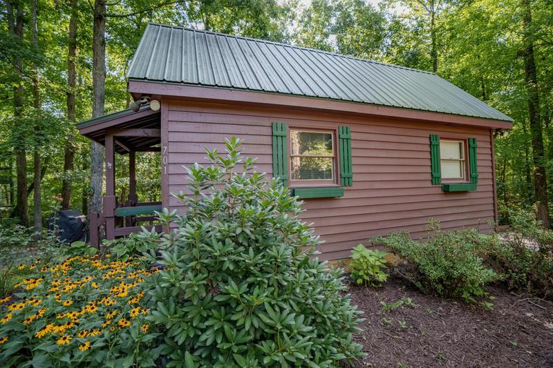 Image for property 701 Lake Forest Drive, Blue Ridge, GA 30513