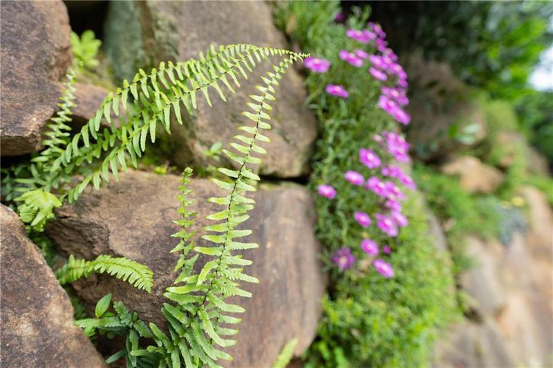 Image for property 295 Goble Gap Lane, Clayton, GA 30525