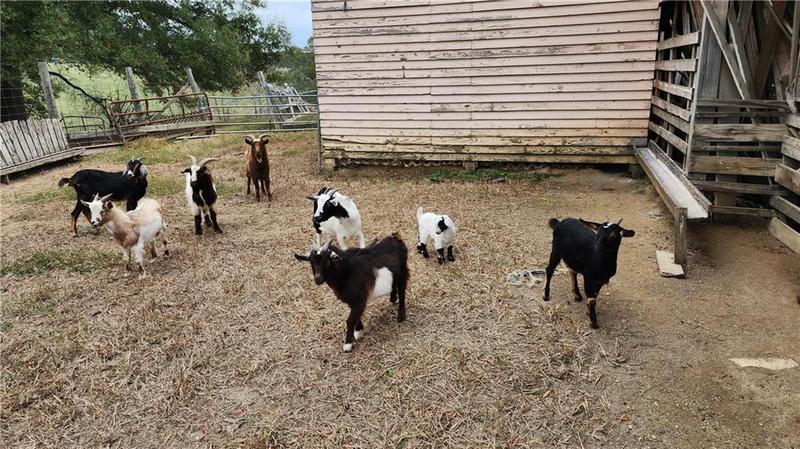 Image for property 1329 Stringer Road, Rockmart, GA 30153