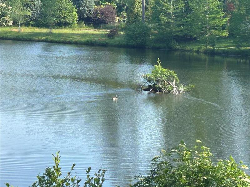Image for property 1931 Oliver Bridge Road, Watkinsville, GA 30677