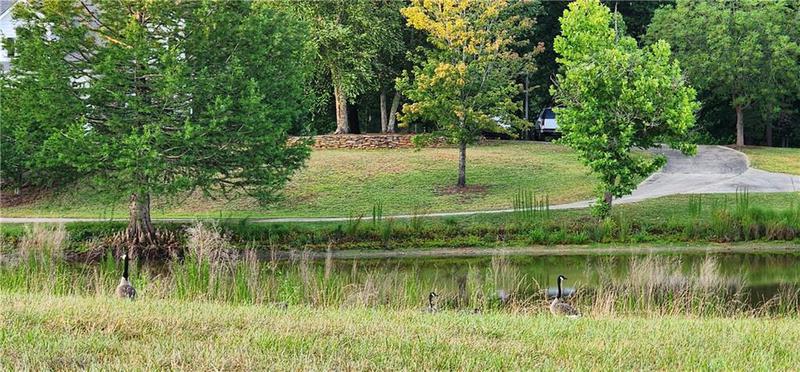 Image for property 1931 Oliver Bridge Road, Watkinsville, GA 30677