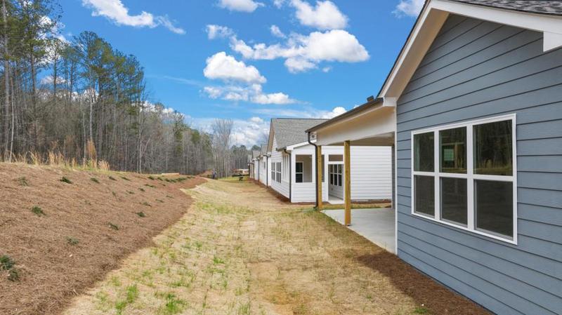 Image for property 51 Airmont Drive, Sharpsburg, GA 30277