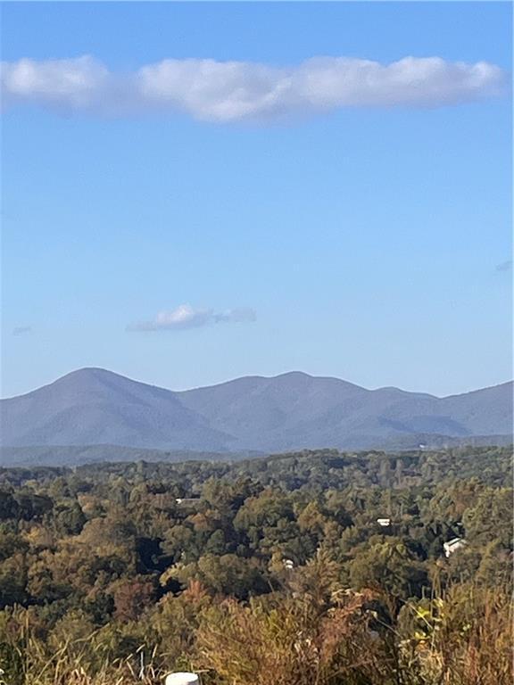 Image for property 207 Village Drive, Dahlonega, GA 30533