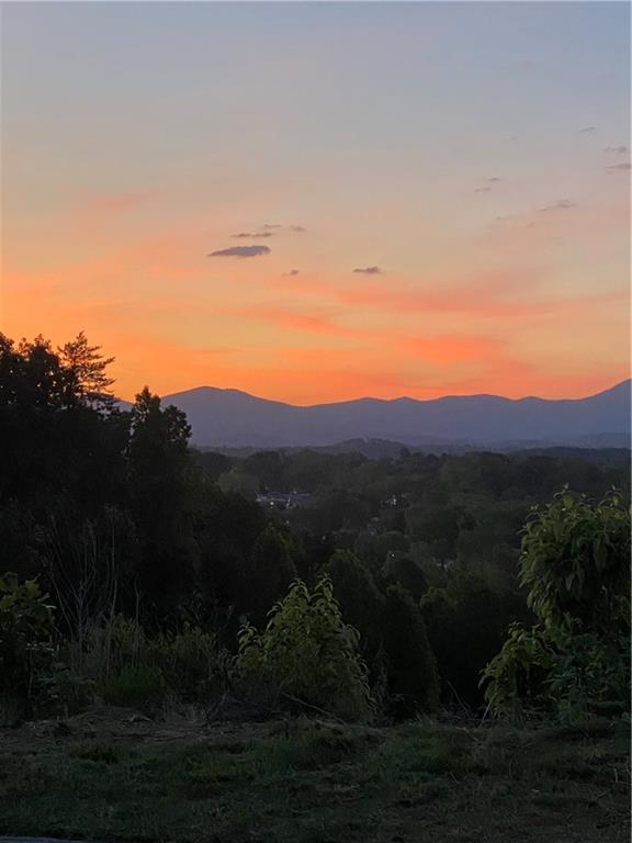 Image for property 207 Village Drive, Dahlonega, GA 30533
