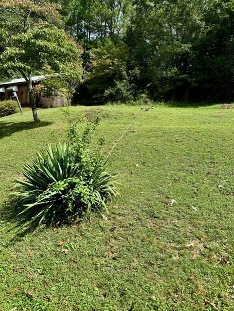 Image for property 117 Kuhlman Street, Adairsville, GA 30103
