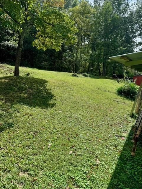 Image for property 117 Kuhlman Street, Adairsville, GA 30103
