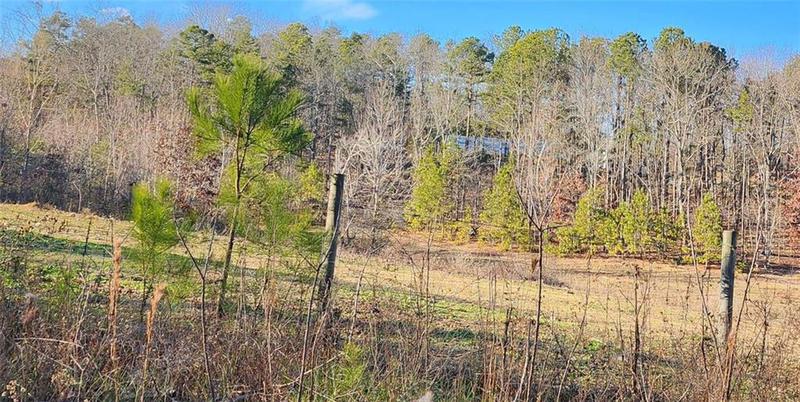 Image for property 720 IRELAND Drive, Kingston, GA 30145