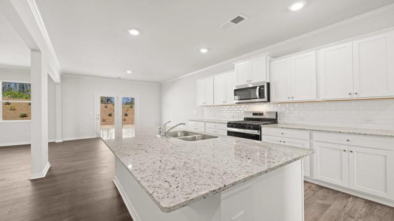 Image for property 193 Thompson Ridge Lane, Dallas, GA 30132