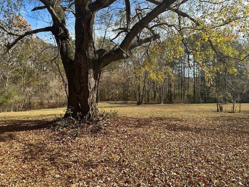 Image for property 0 Byers Street, Waleska, GA 30183
