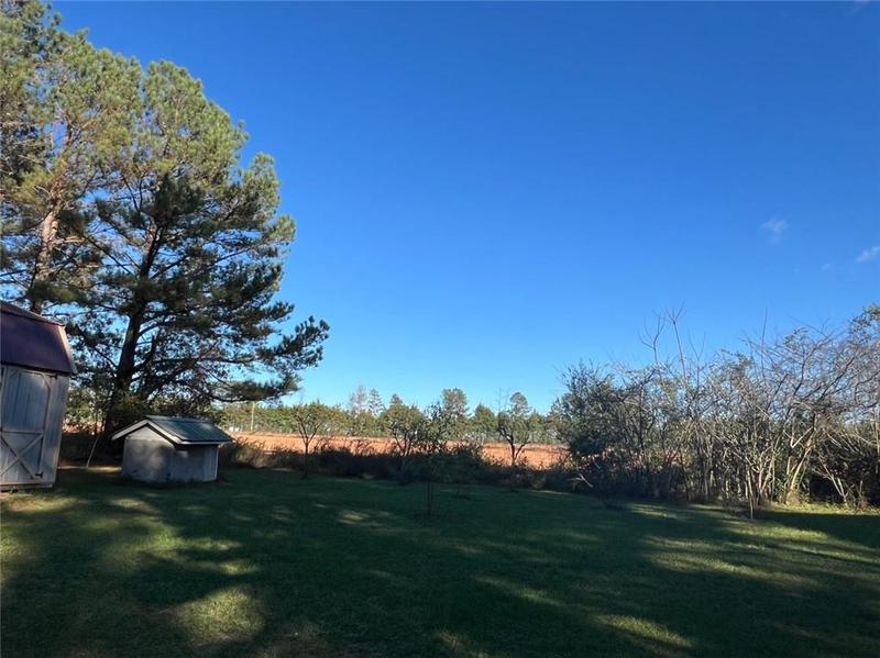 Image for property 94 Cedar Valley Road, Montezuma, GA 31063