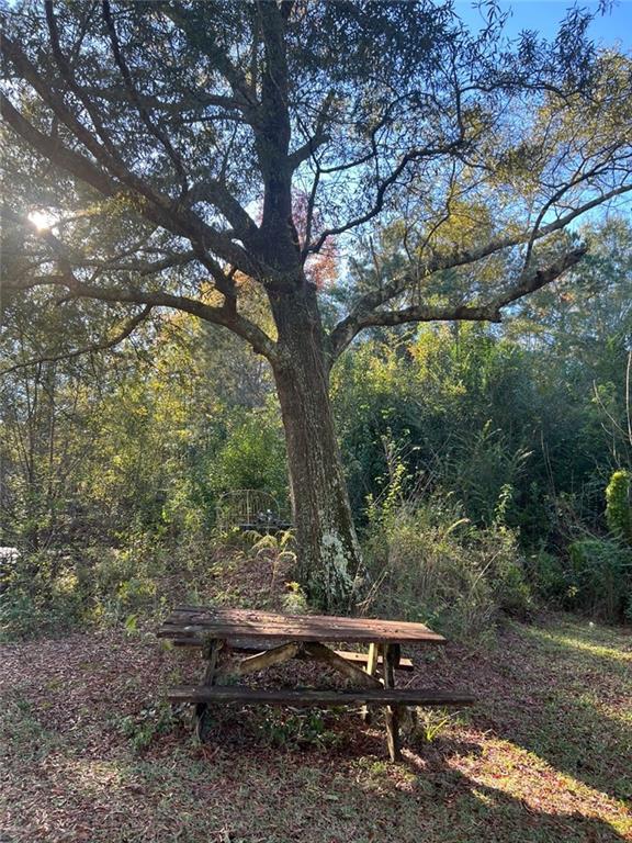 Image for property 94 Cedar Valley Road, Montezuma, GA 31063