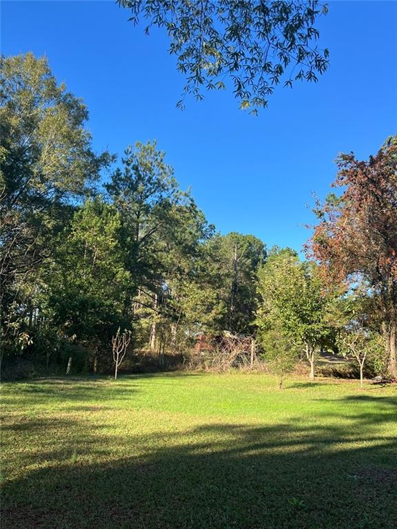 Image for property 94 Cedar Valley Road, Montezuma, GA 31063