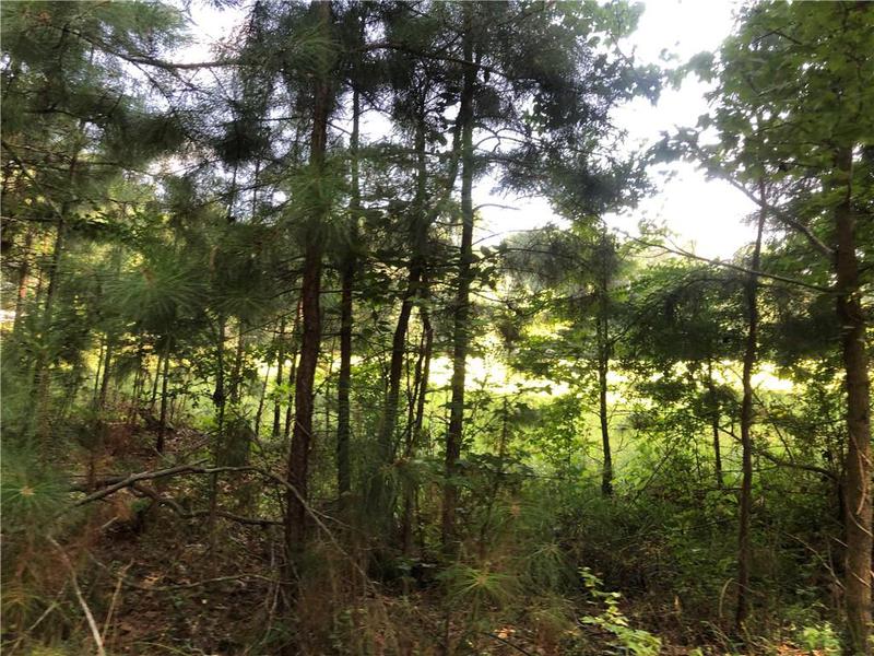 Image for property 1405 Rock Springs Road, Buford, GA 30519