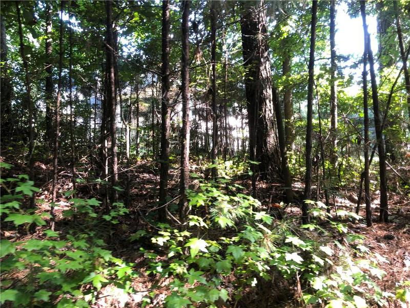 Image for property 1405 Rock Springs Road, Buford, GA 30519