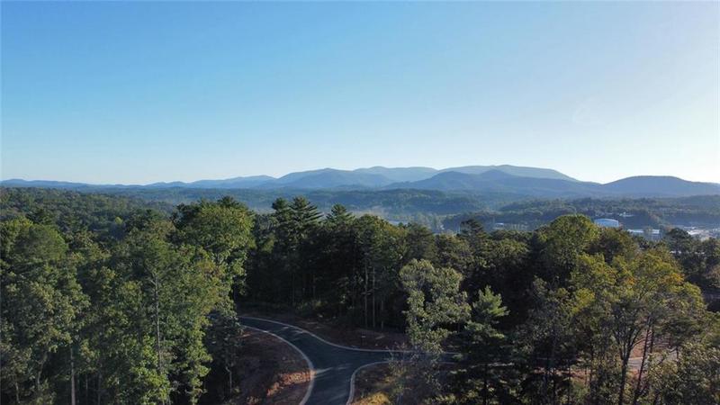 Image for property 117 Pinnacle Way, Ellijay, GA 30540