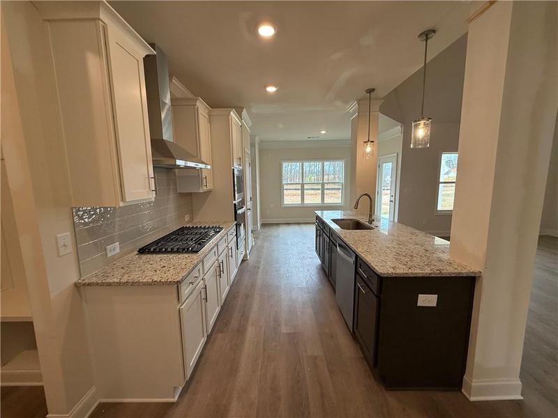 Image for property 248 CHEROKEE ROSE Lane, Hoschton, GA 30548