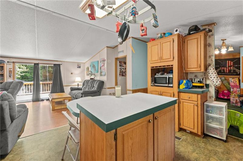 Image for property 59 Ritchie Road, Tiger, GA 30576