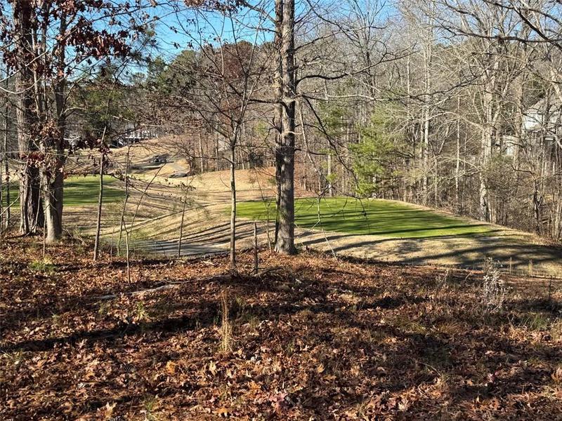 Image for property 500 Chestnut Walk, Canton, GA 30114