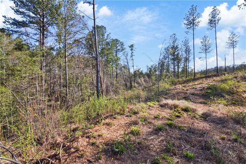 Image for property 146 Eddy Waters Circle, Talking Rock, GA 30175